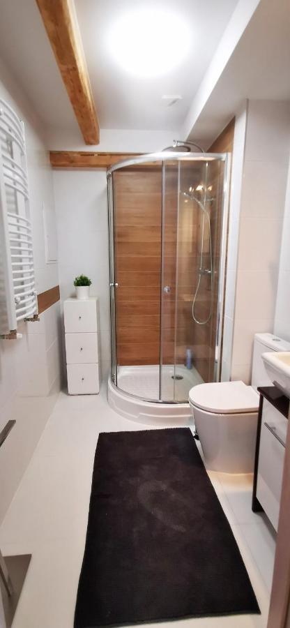 Klimatyczny Apartament Nr 8 Z Widokiem Na Gory Sowie بيلافه المظهر الخارجي الصورة
